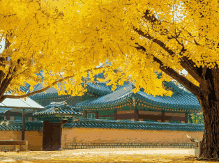 韩国外贸数据,外贸数据,USDT钱包外贸数据